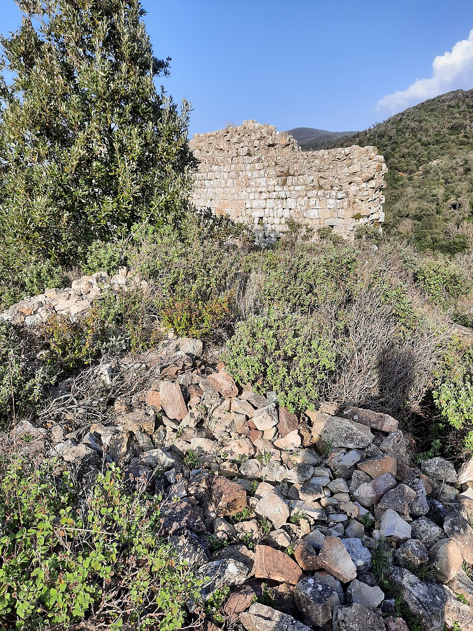 Castellaccio (Castello di Dolia)