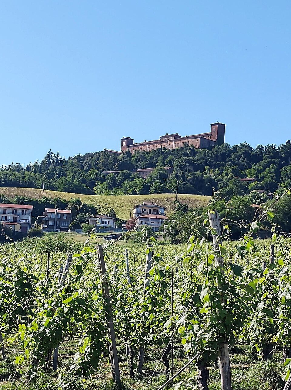 Castello di Montalto Pavese