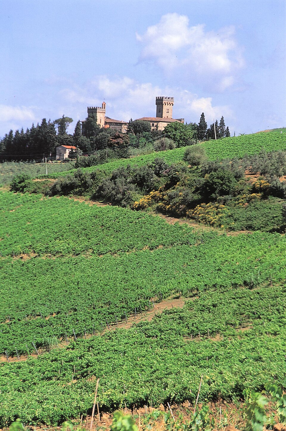 Castello di Poppiano