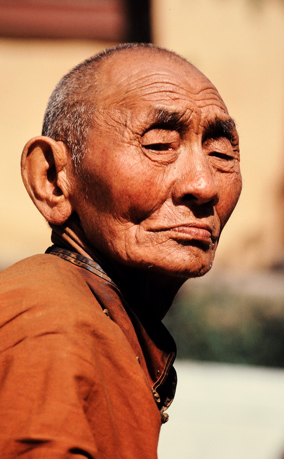 Lama