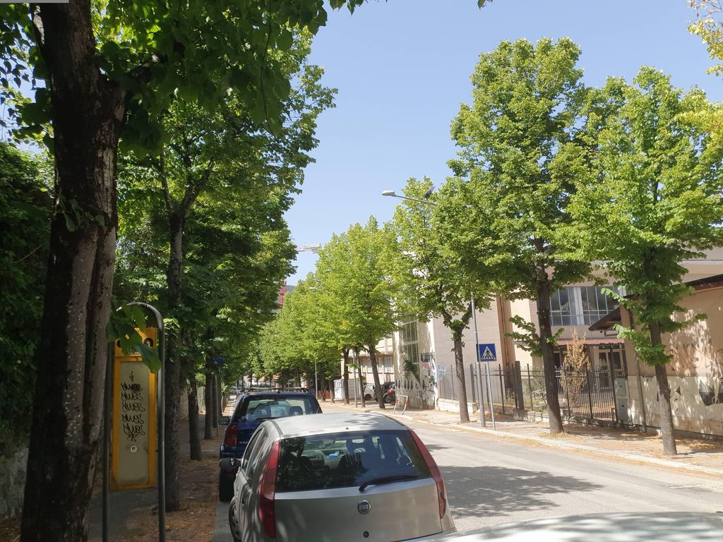 Palazzo Loddi