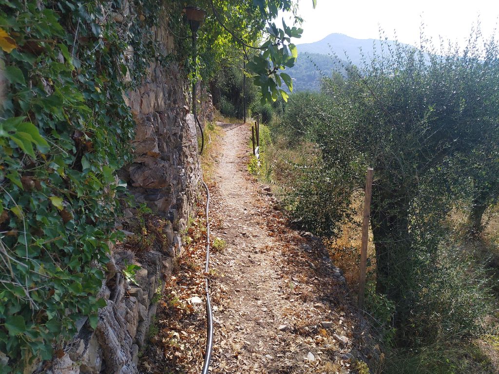 Ruderi del Castello dei Lengueglia