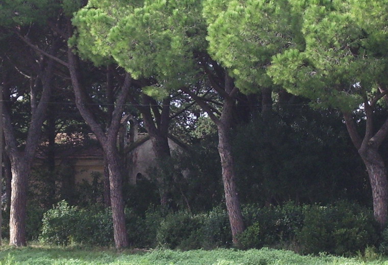 cappella di Santo Stefano alle Strillaie