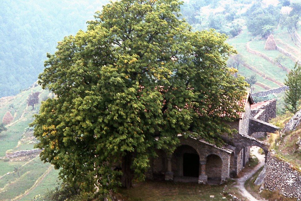 chiesa di San Bernardino