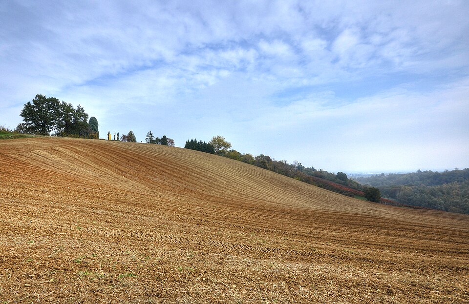 chiesa di Santa Maria dell'Oliveto
