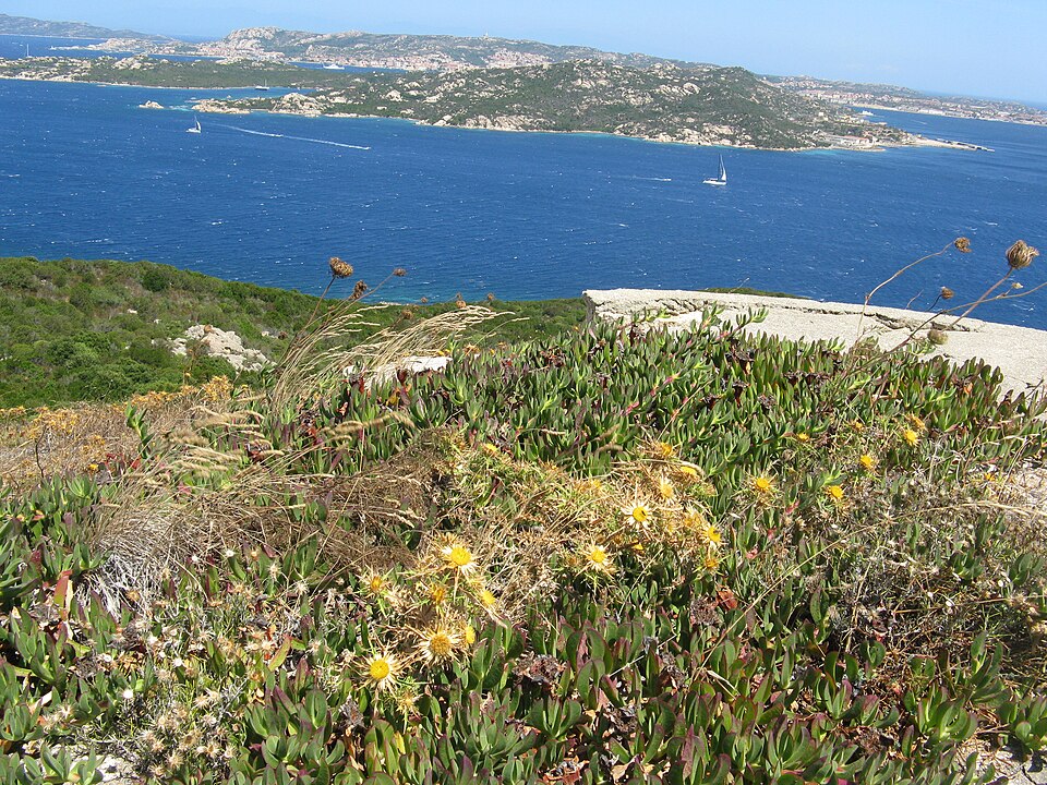 Faro Capo d'Orso