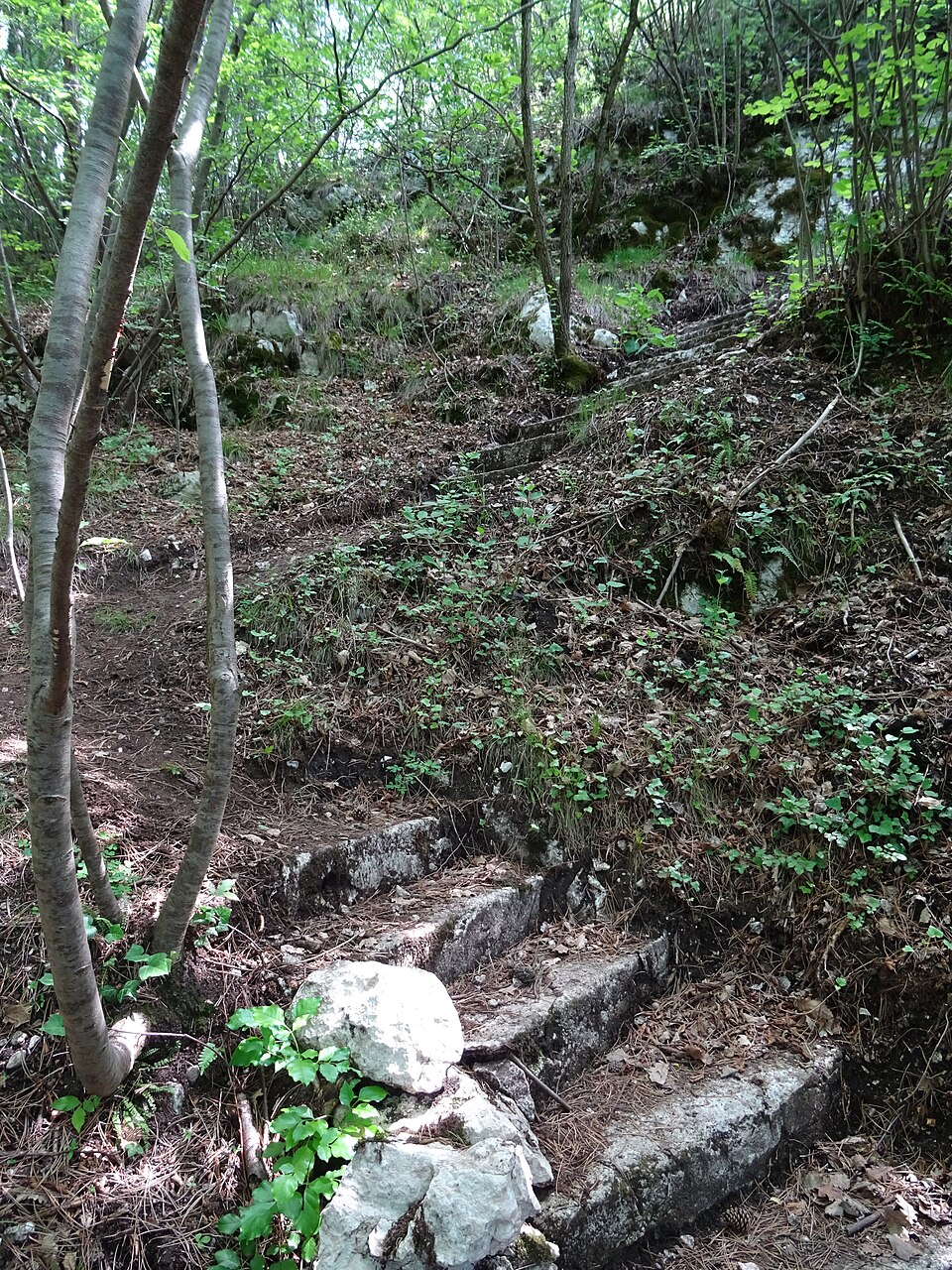 Forte di Castel Vedro