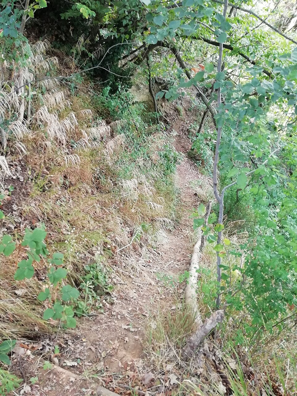 rifugio della seconda guerra mondiale