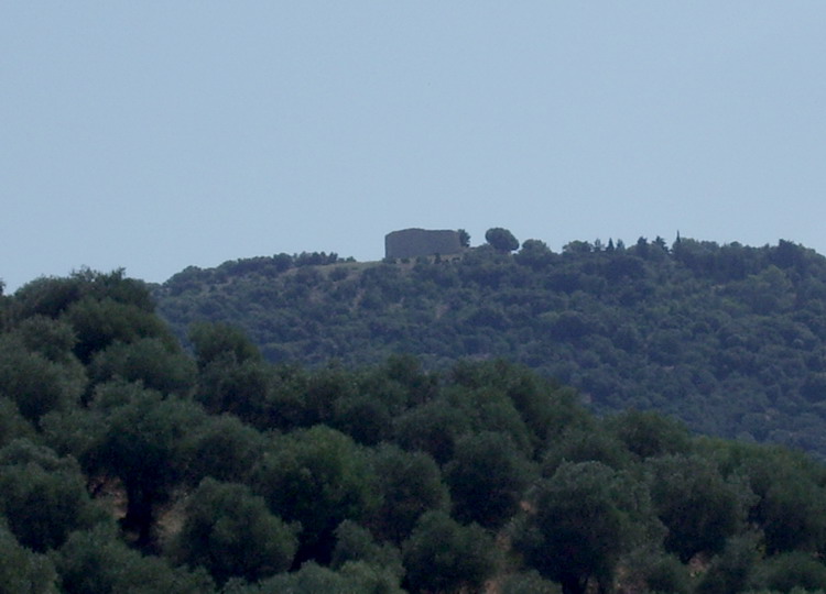 Tino di Moscona