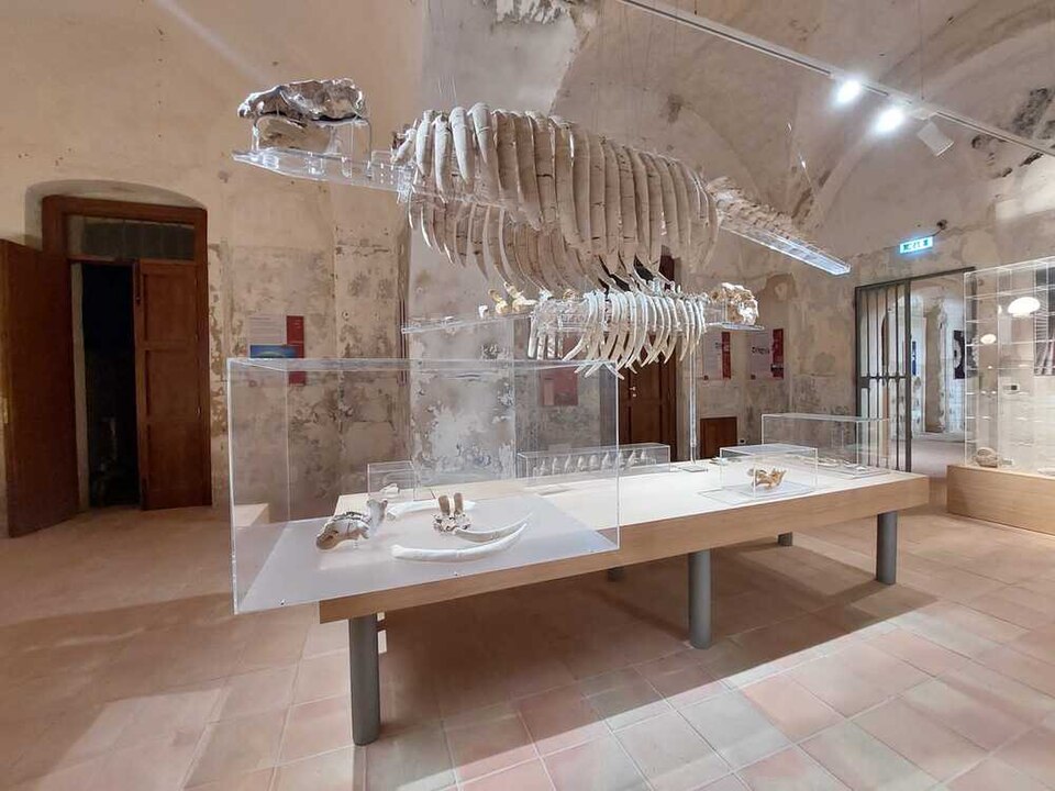 Museo civico del mare