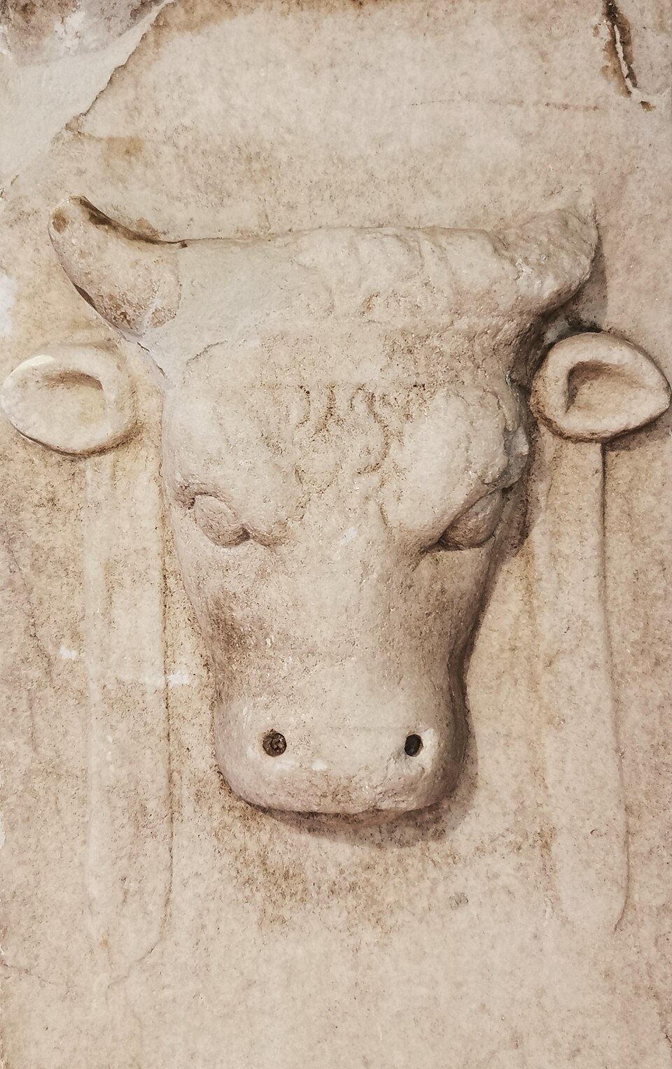 Museo della Città e del Territorio