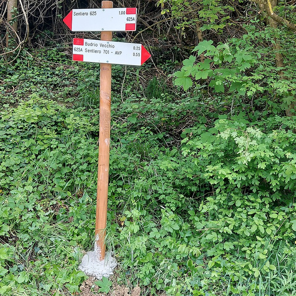 Bocca del Lupo