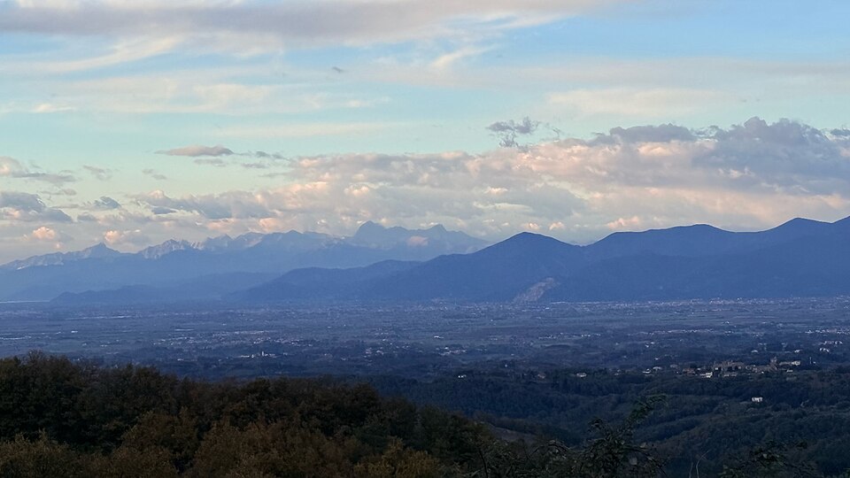 le tagliate