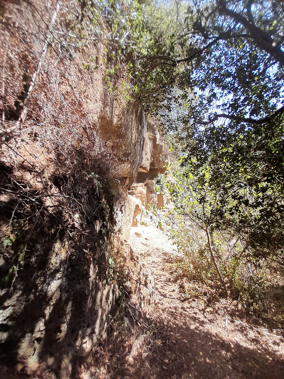 Tomba a Portico