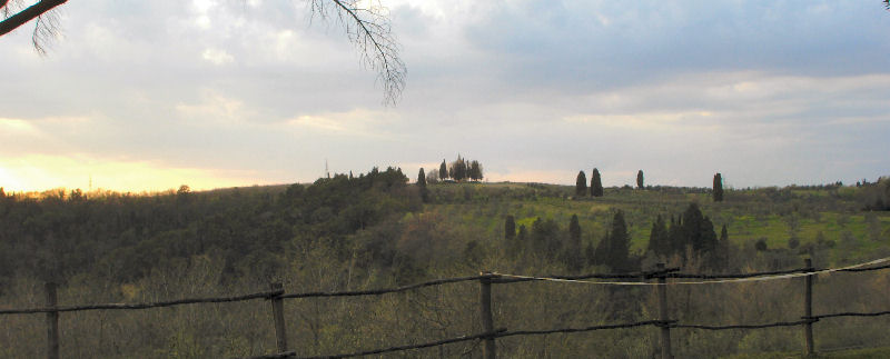 Semifonte
