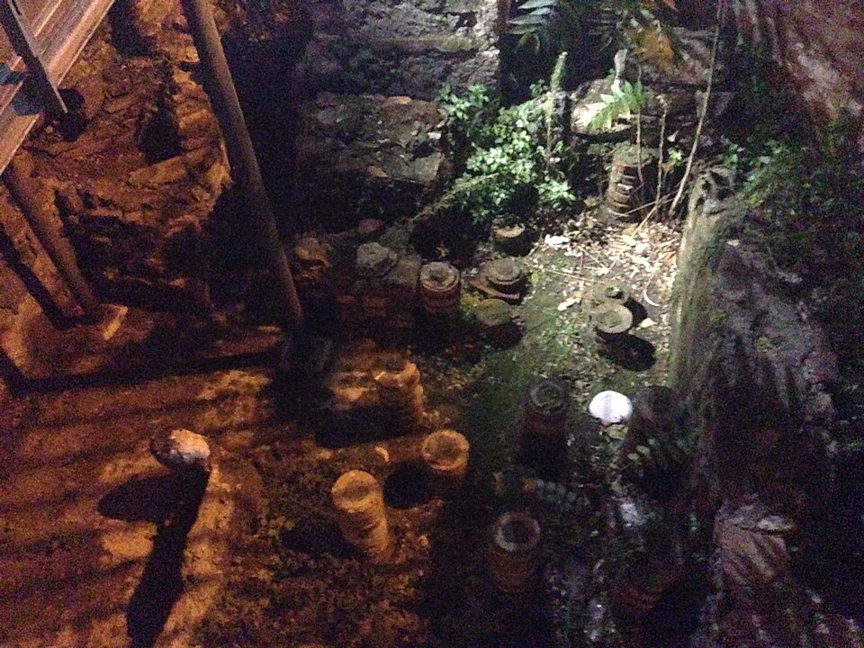 Terme Romane della Rotonda