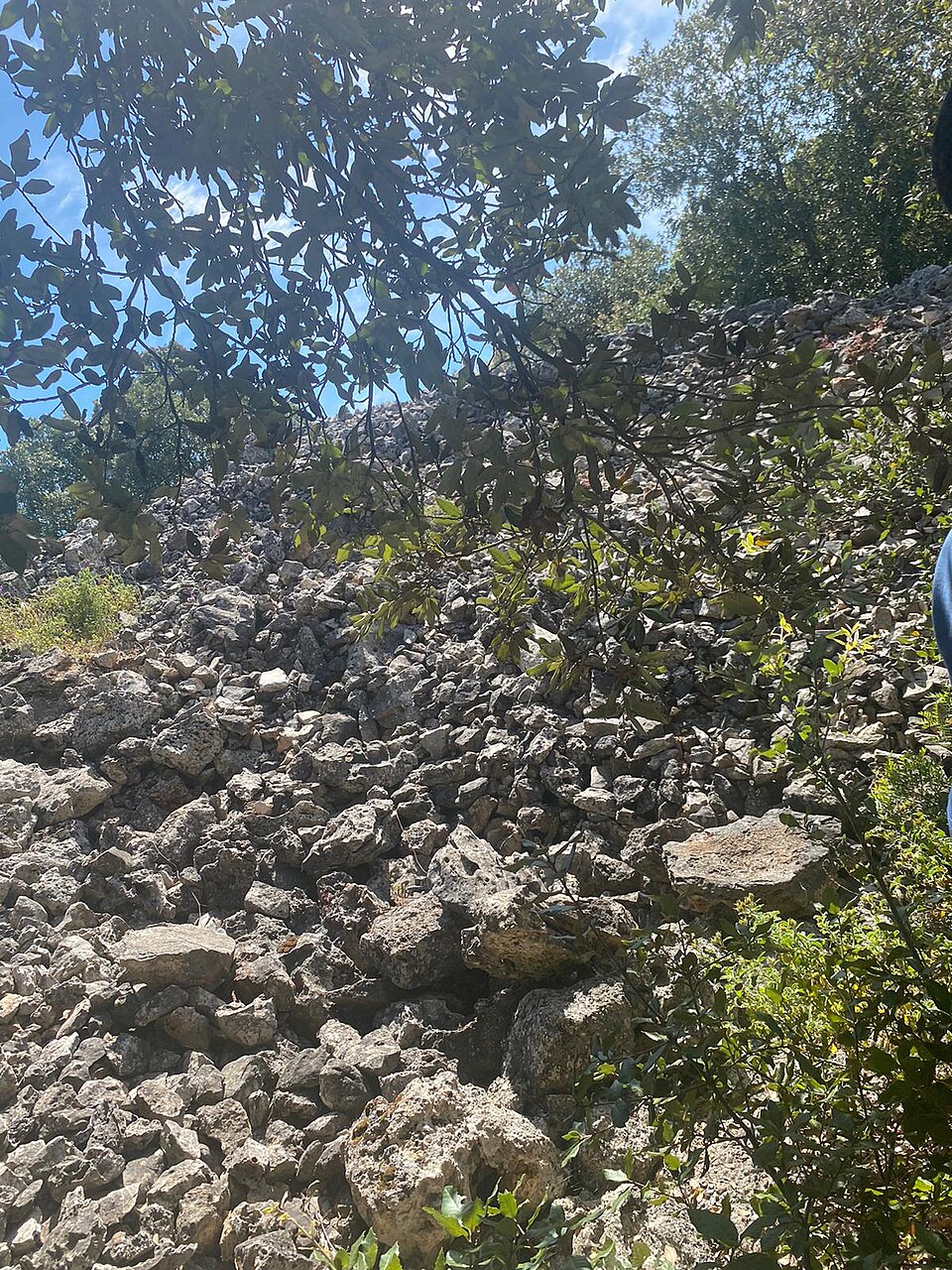 Specchia La Selva