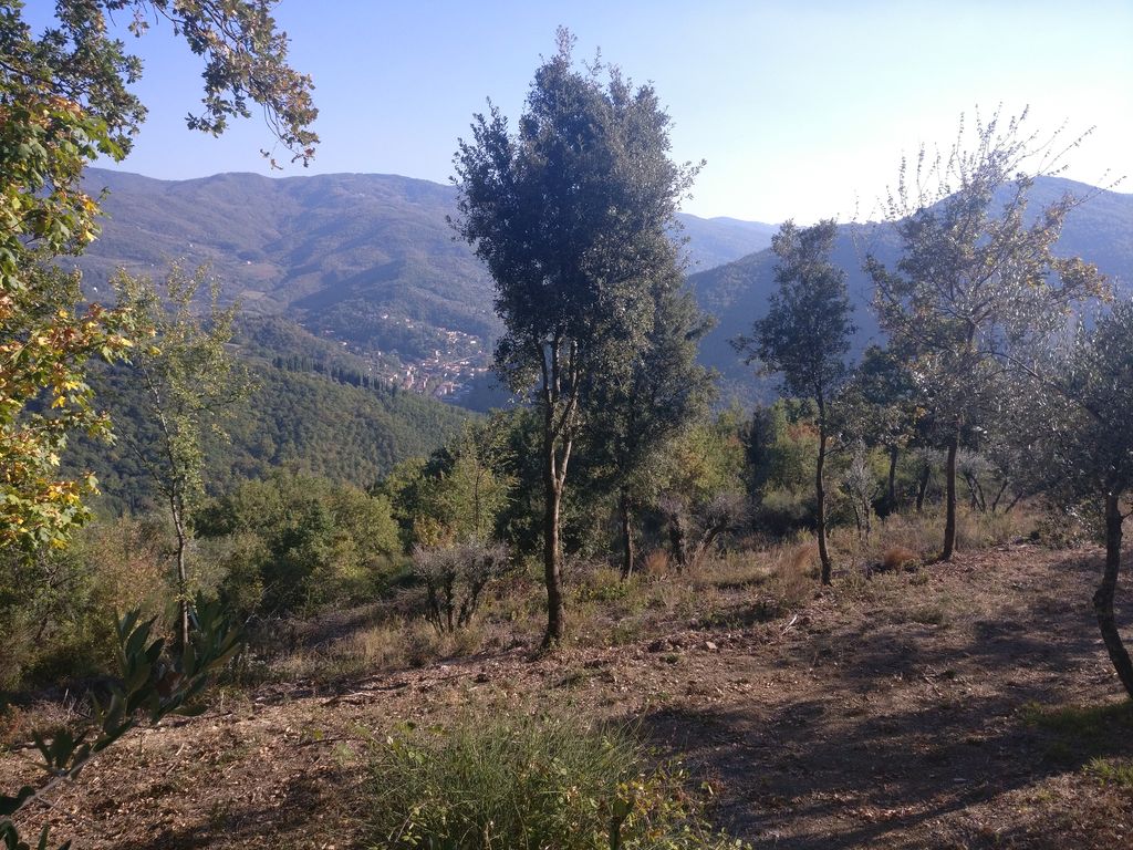 Scavi Archeologici di Frascole
