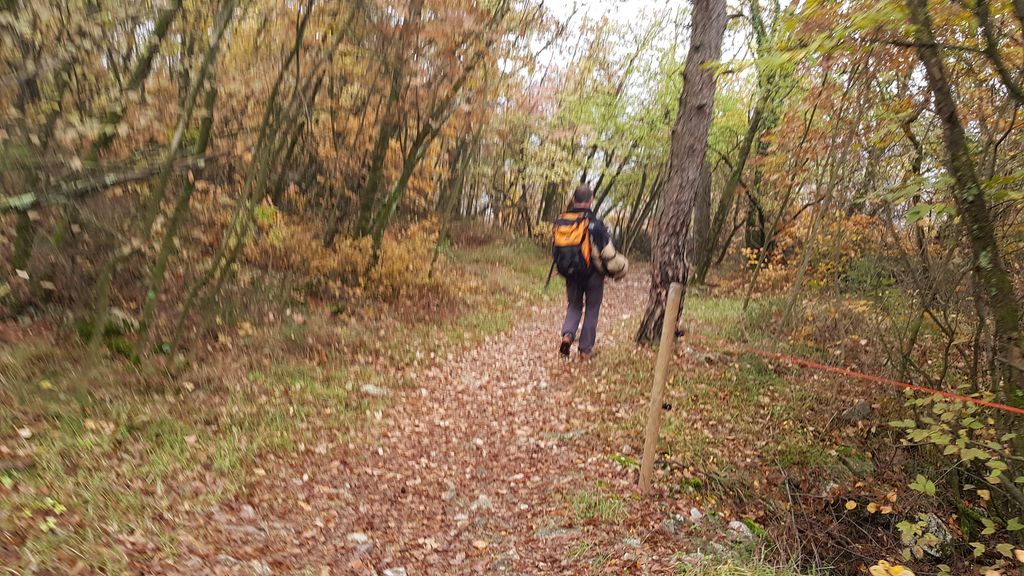 Castelliere Gradina