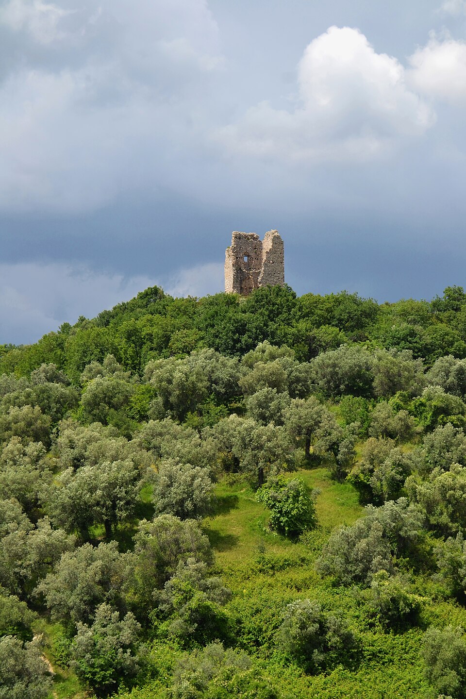 Torre Baccelli