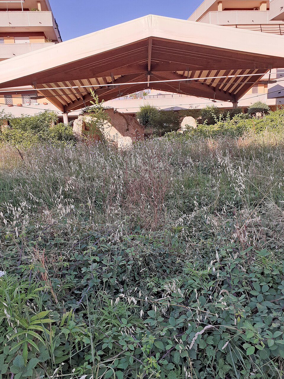 Fonte Nuova Villa romana