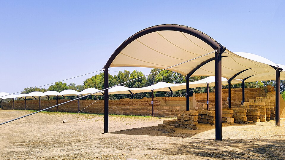 Mura Timoleontee