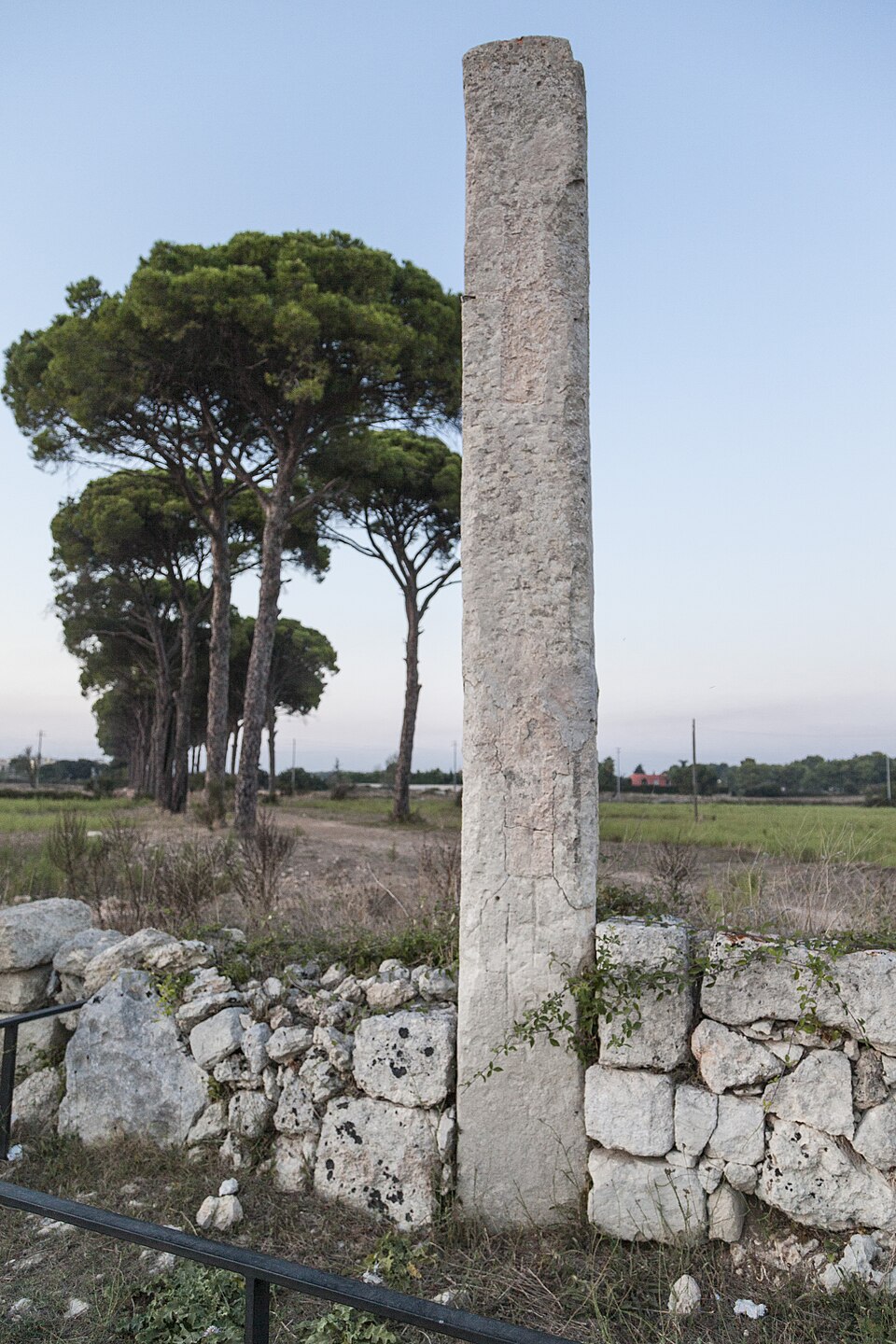 Menhir Crocemuzza o delle Franite