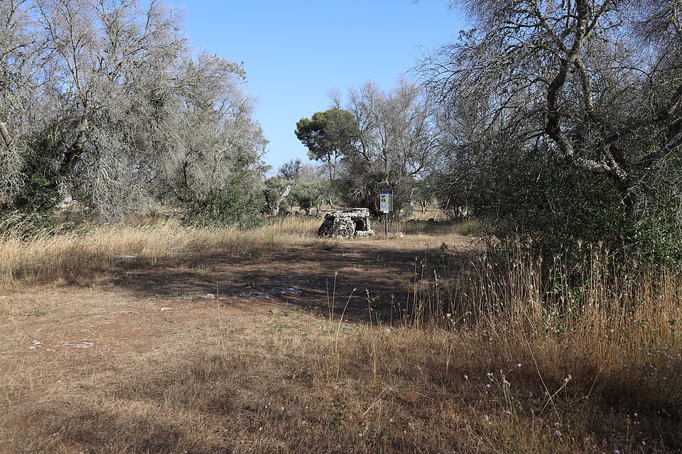Dolmen Placa