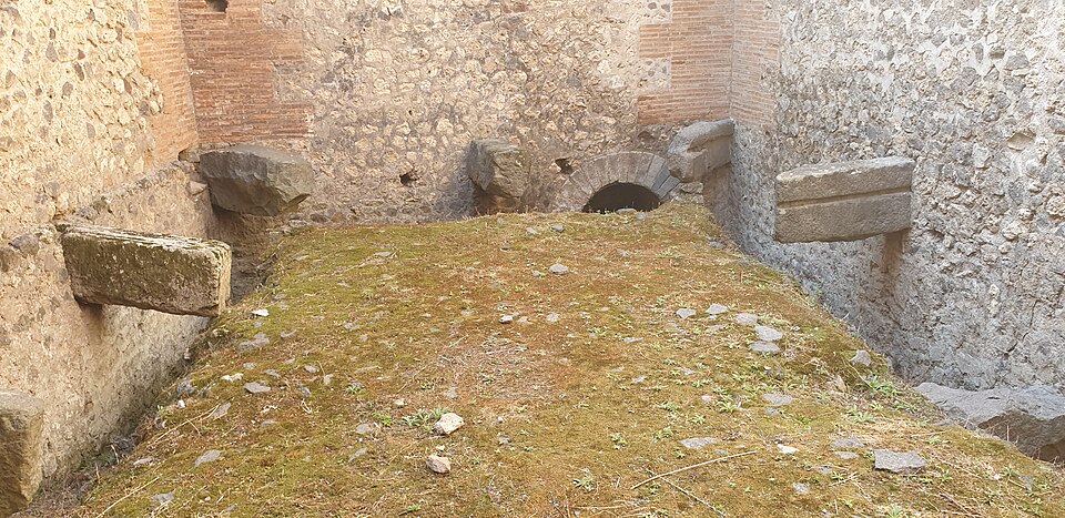 Forum latrine