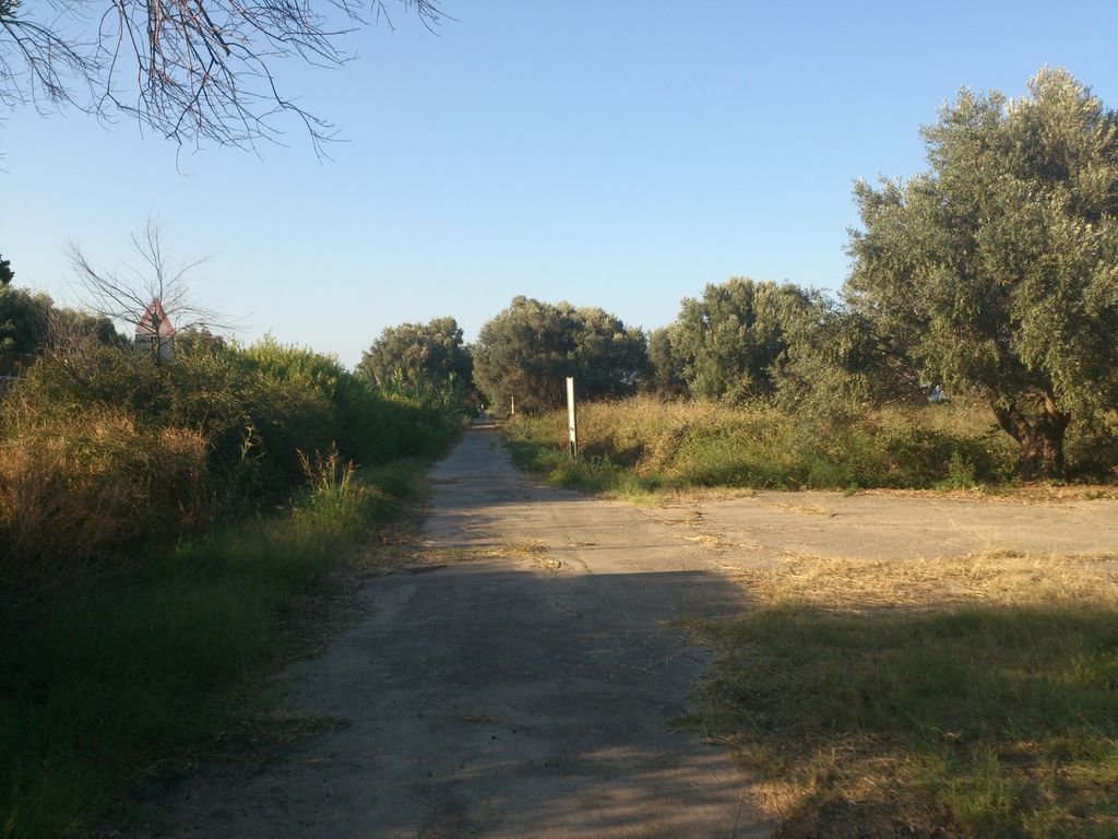 Casa del drago