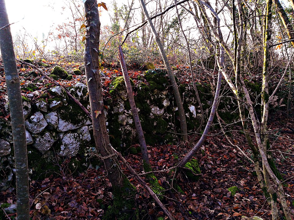 Castelliere del Monte Roccolo