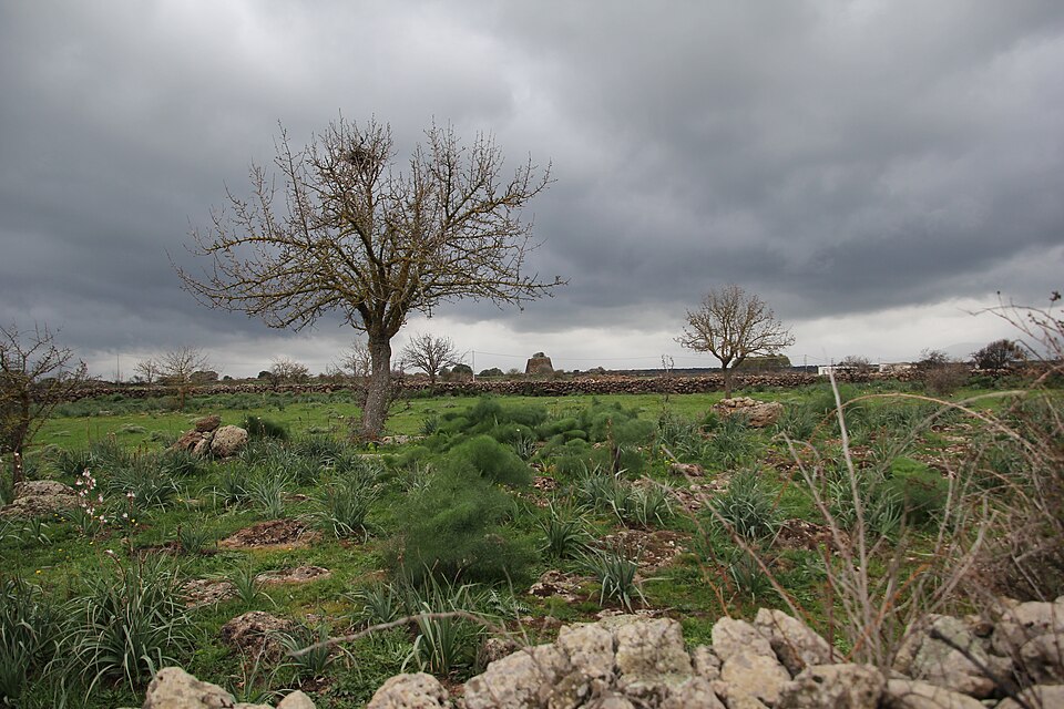 Sa Serra Nuraghe