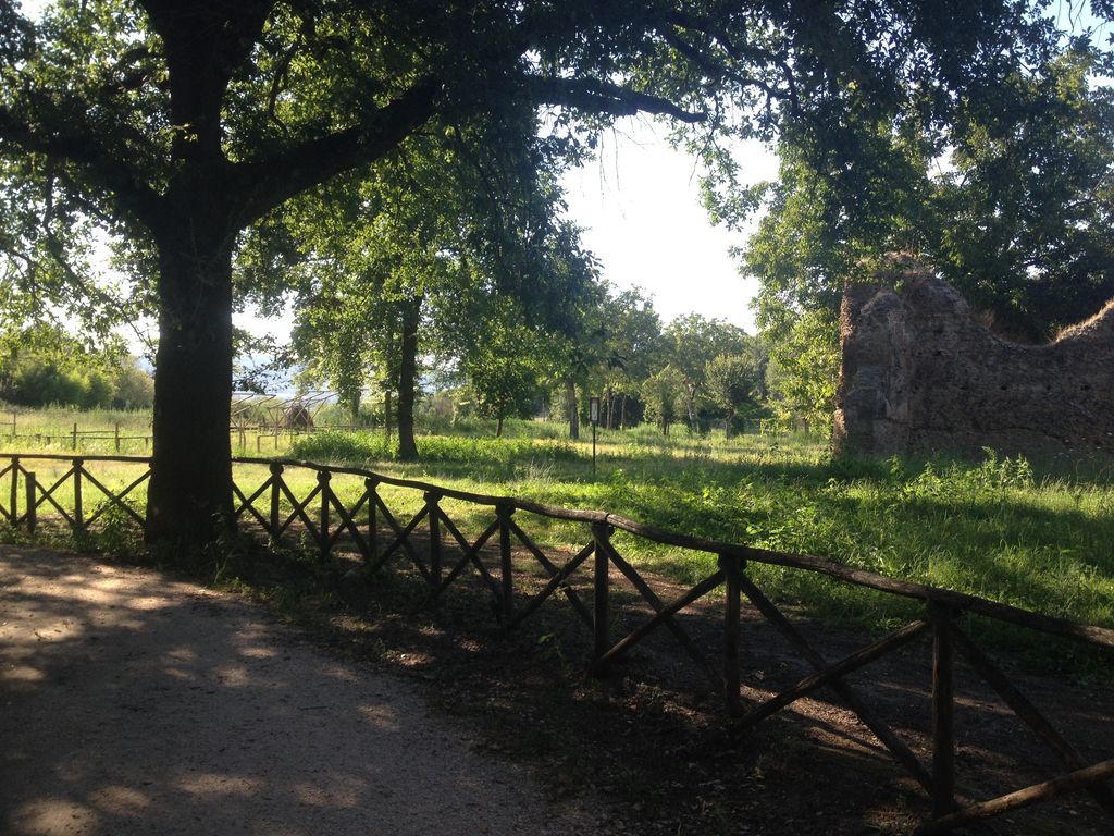 Terme romane di Ocriculum