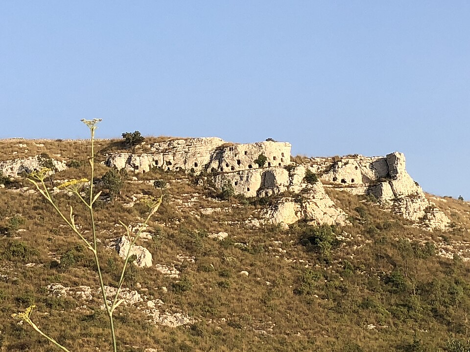 Necropoli della Pineta