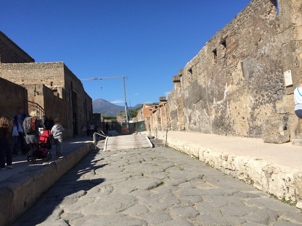House and Officina Fullonica of L. Veranius Hypsaeus (VI.8.20)