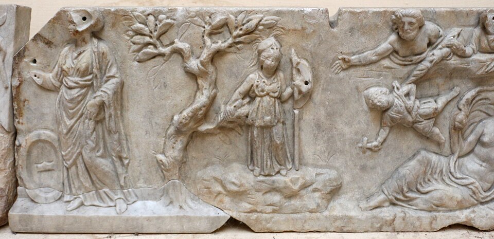 Le Terme del Foro