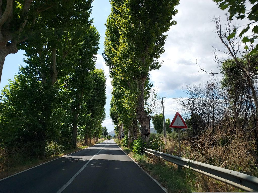 Domus della Soglia nilotica