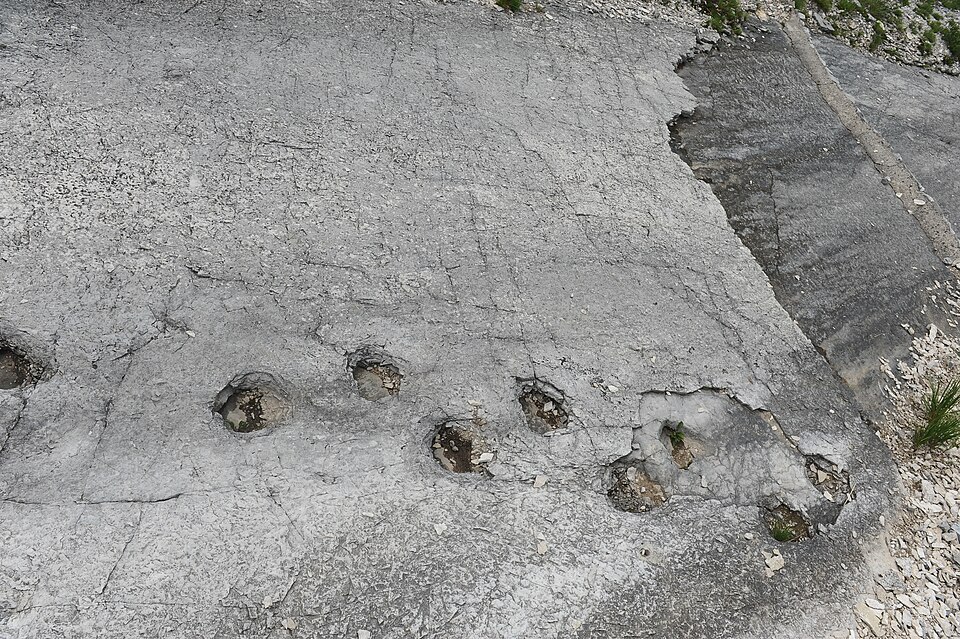 Impronte di dinosauro