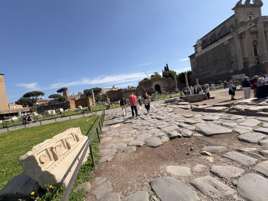Doliola