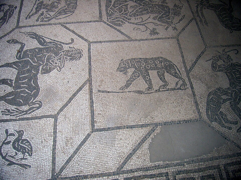 Domus della Fortuna Annonaria (V,II,8)
