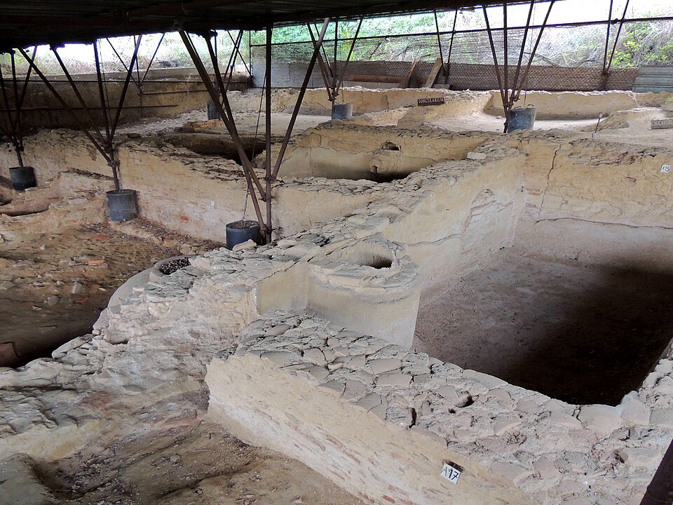 Domus rustica