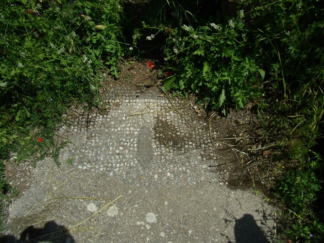 Mitreo della Planta Pedis