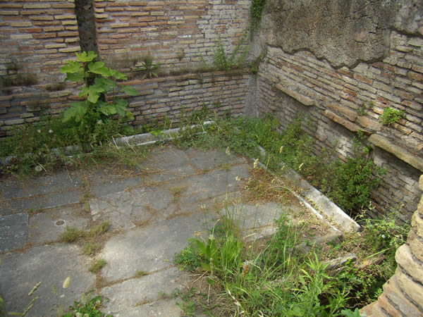 Terme del Filosofo (V,II,7)