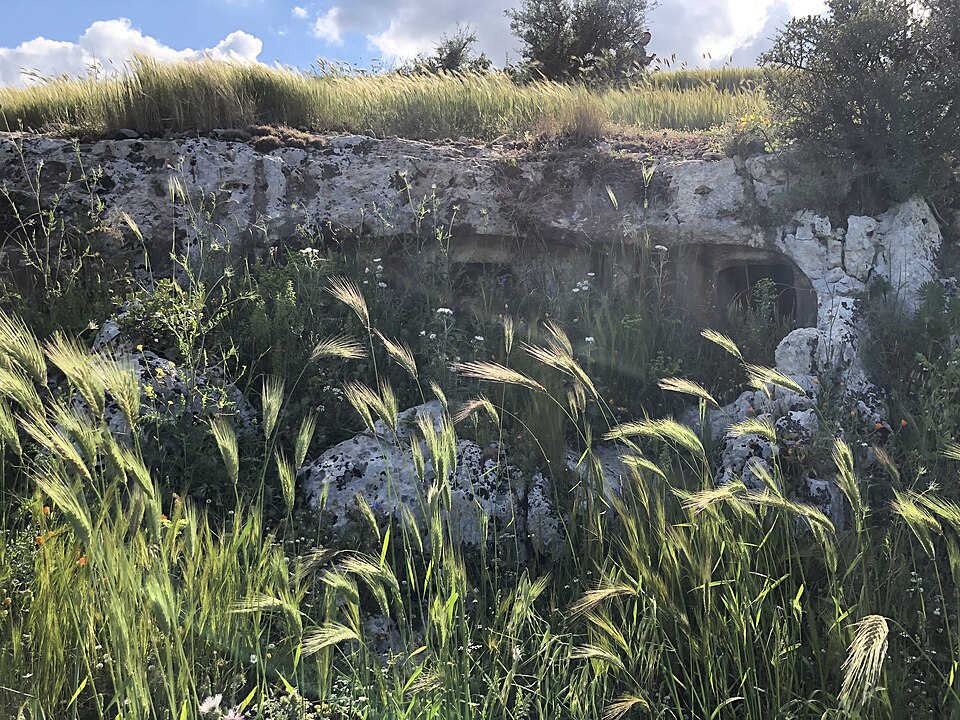 Necropoli di Cava Lazzaro