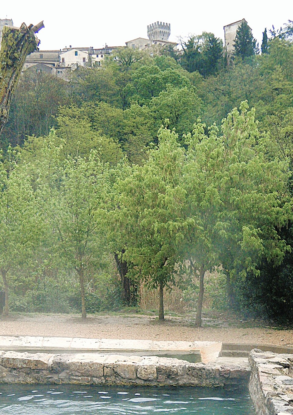 Scavi archeologici di San Casciano dei Bagni