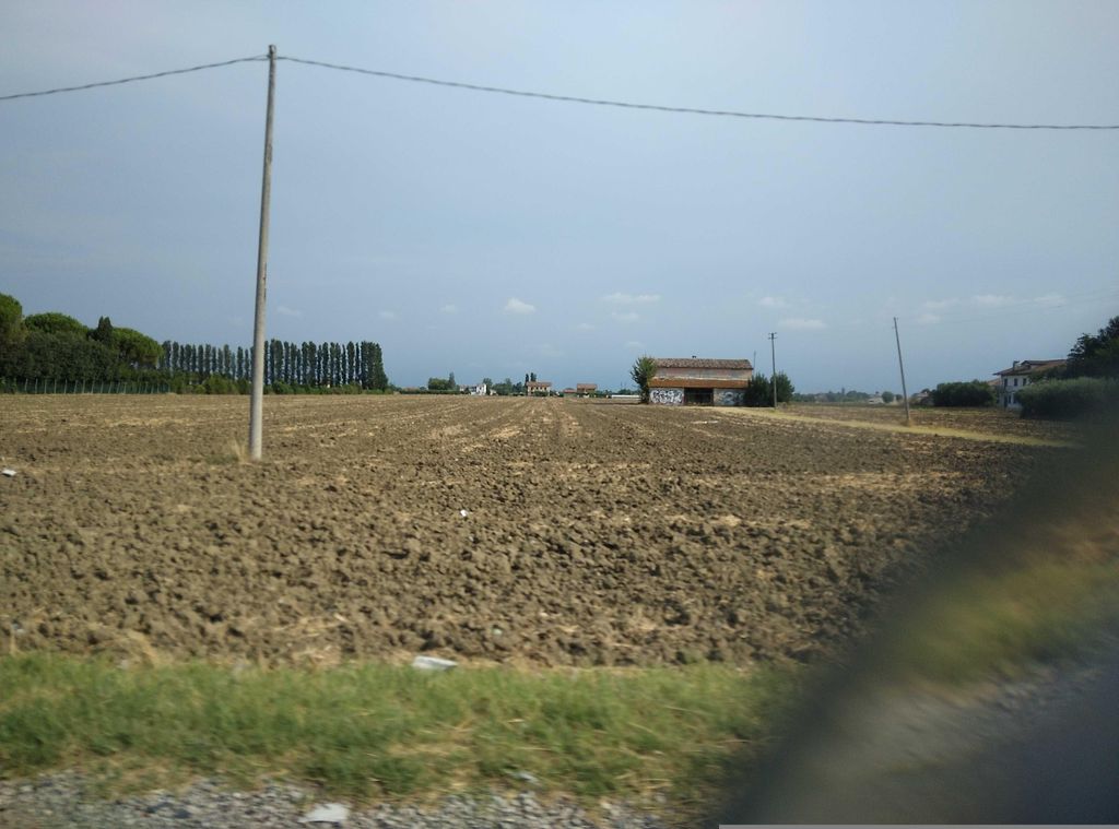 Petrone