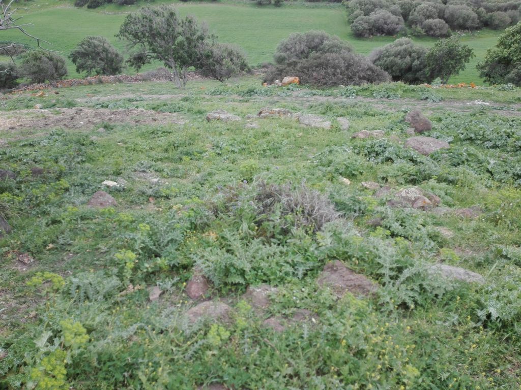 Nuraghe Longu