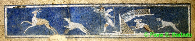 Villa Romana