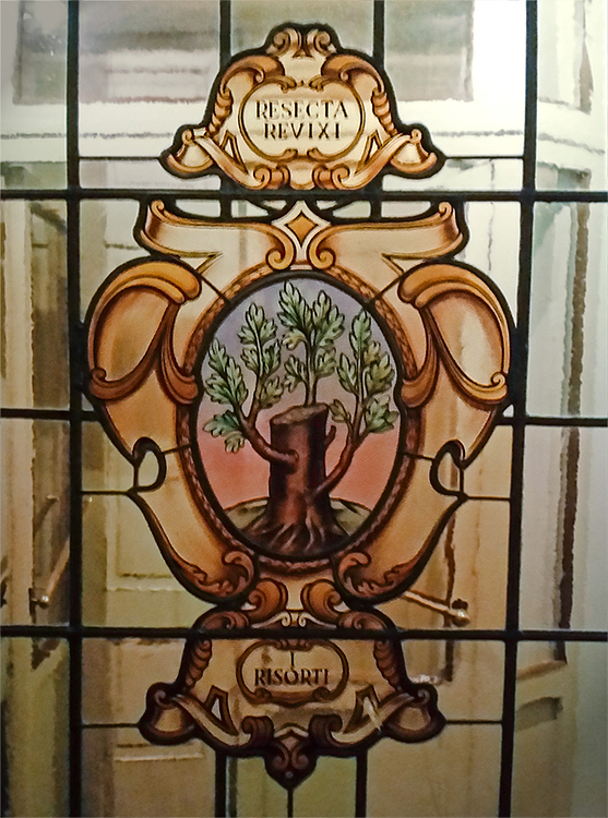Cinema Accademia