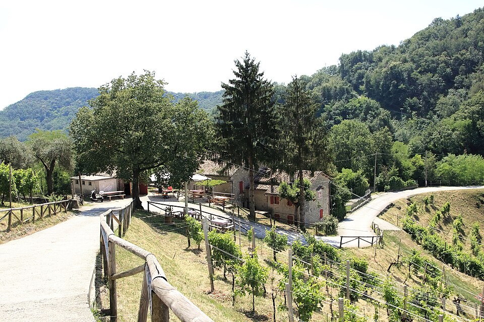 Le Colline del Prosecco di Conegliano e Valdobbiadene